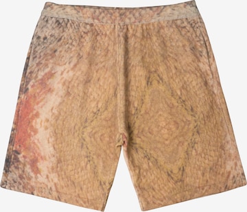 Stüssyregular Hlače - bež boja: prednji dio