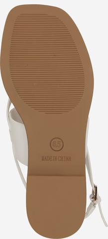 Flip-flops 'GENIE' de la STEVE MADDEN pe alb