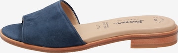 SIOUX Mules ' Cosinda-700 ' in Blue: front