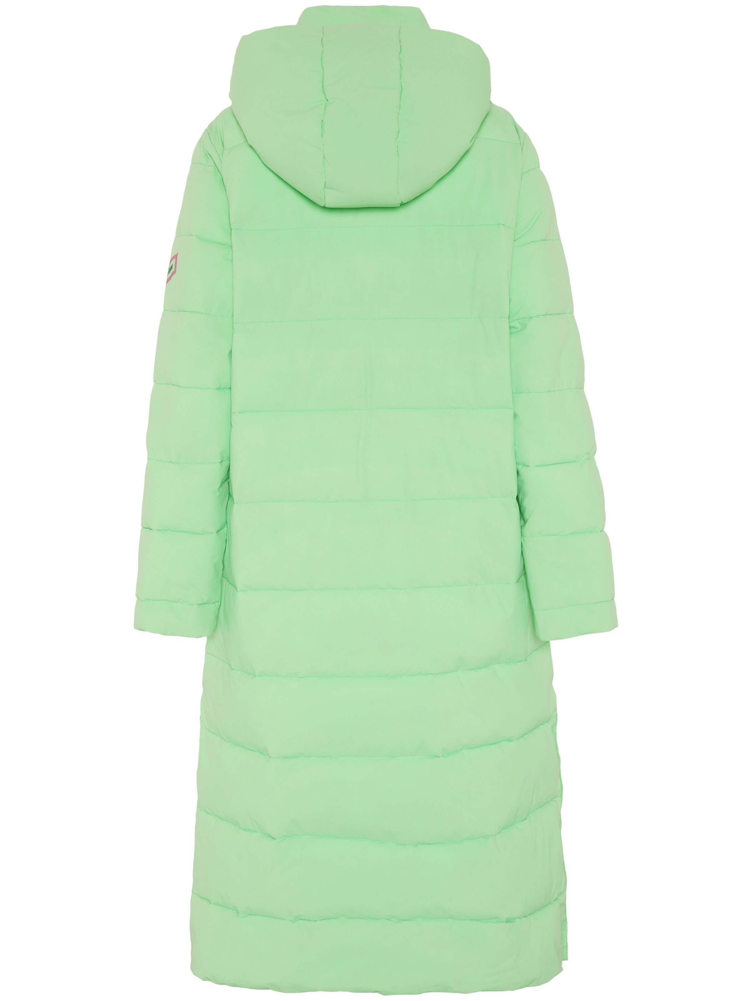 CHIEMSEE Winter Coat in Green