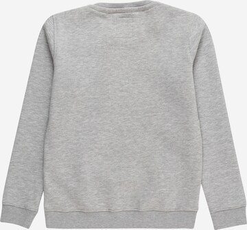 ALPHA INDUSTRIESSweater majica - siva boja