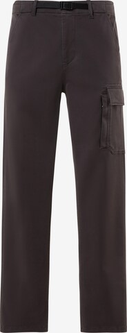 Regular Pantalon cargo North Sails en gris : devant