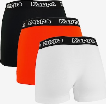 Boxer 'Tsuna' di KAPPA in arancione