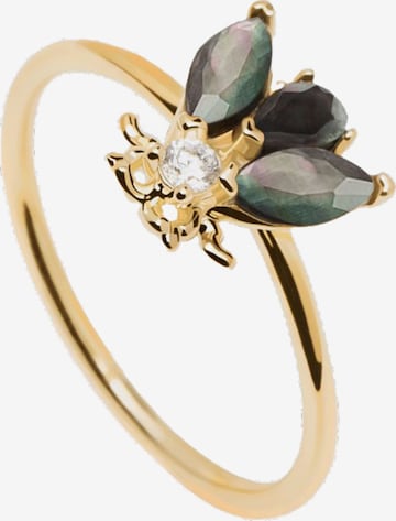 P D PAOLA Ring in Gold: front