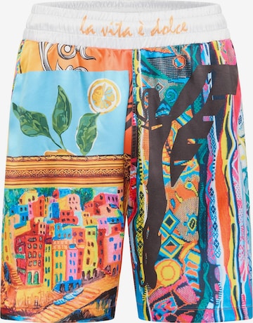 Regular Pantalon Carlo Colucci en mélange de couleurs : devant