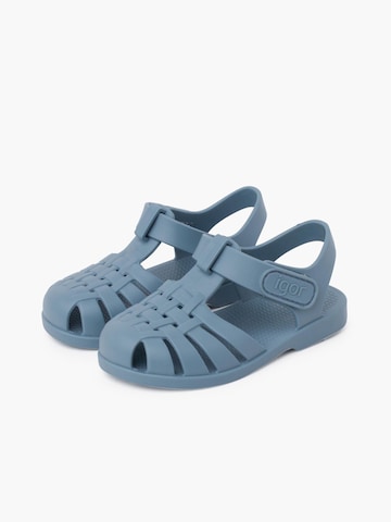 Claquettes / Tongs IGOR en bleu