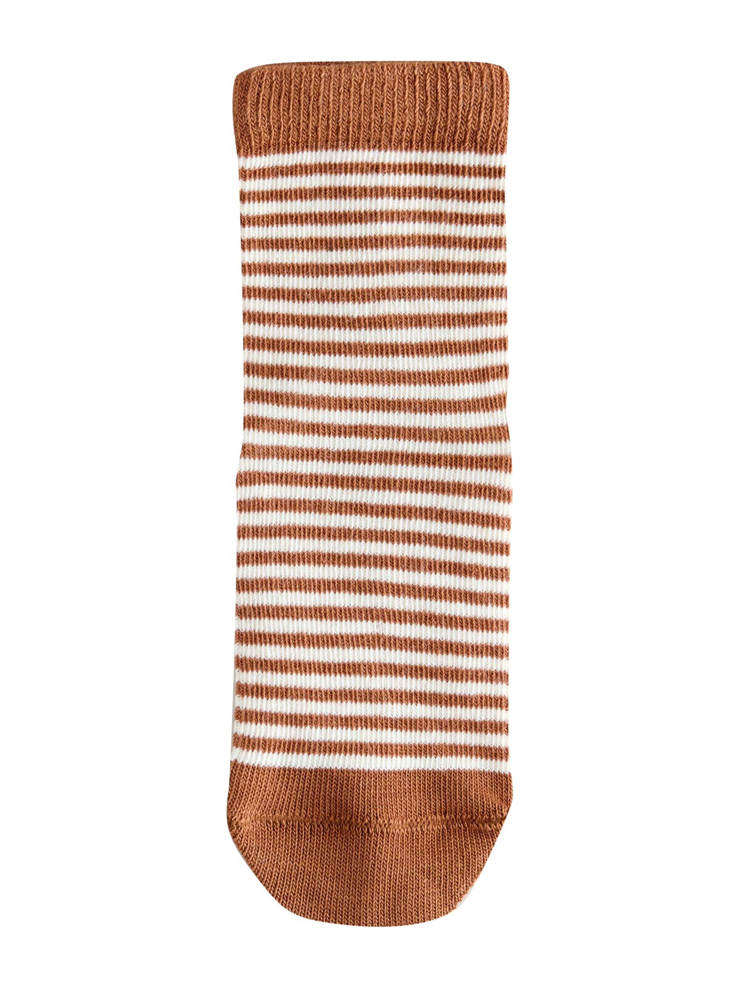 Next - Meias em bege