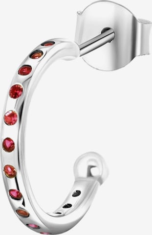 Lucardi Earrings in Silver: front