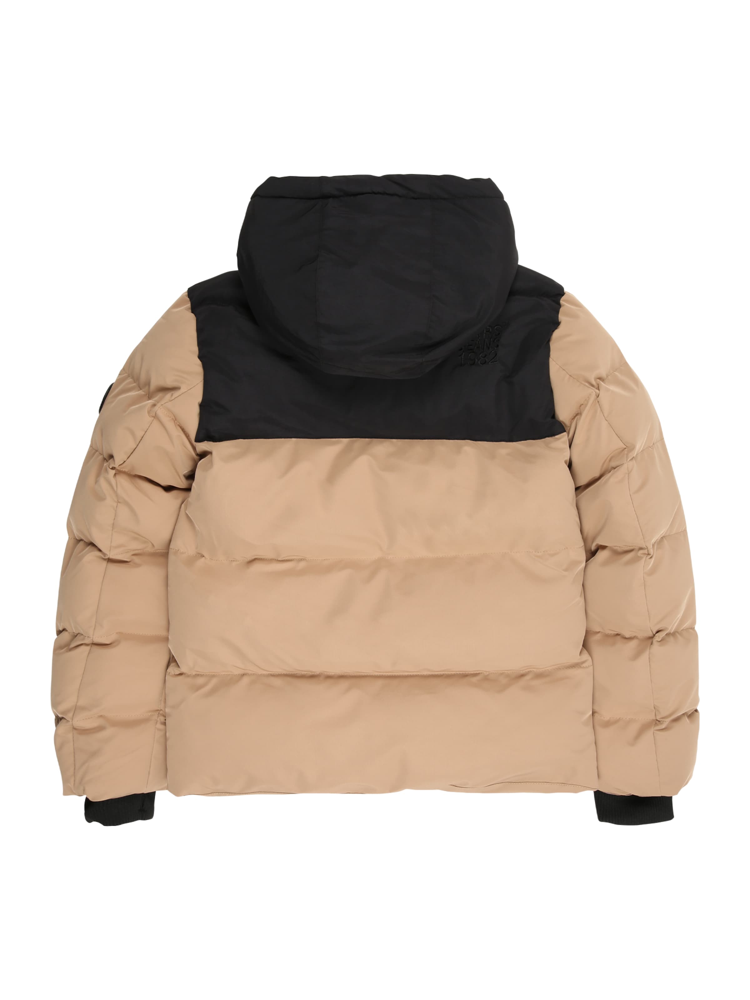 Cars Jeans Winter jacket 'BUSHWICK' in Brown