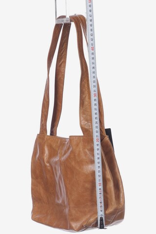 TOSCA BLU Bag in One size in Brown