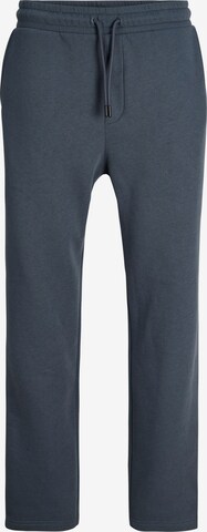 Pantalon JACK & JONES en gris : devant