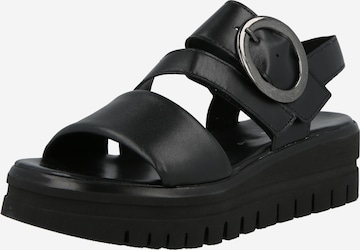 GABOR Sandaalit värissä musta: etupuoli