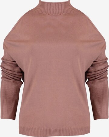 Pullover di Trendyol in rosa: frontale