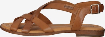 PIKOLINOS Strap Sandals in Brown