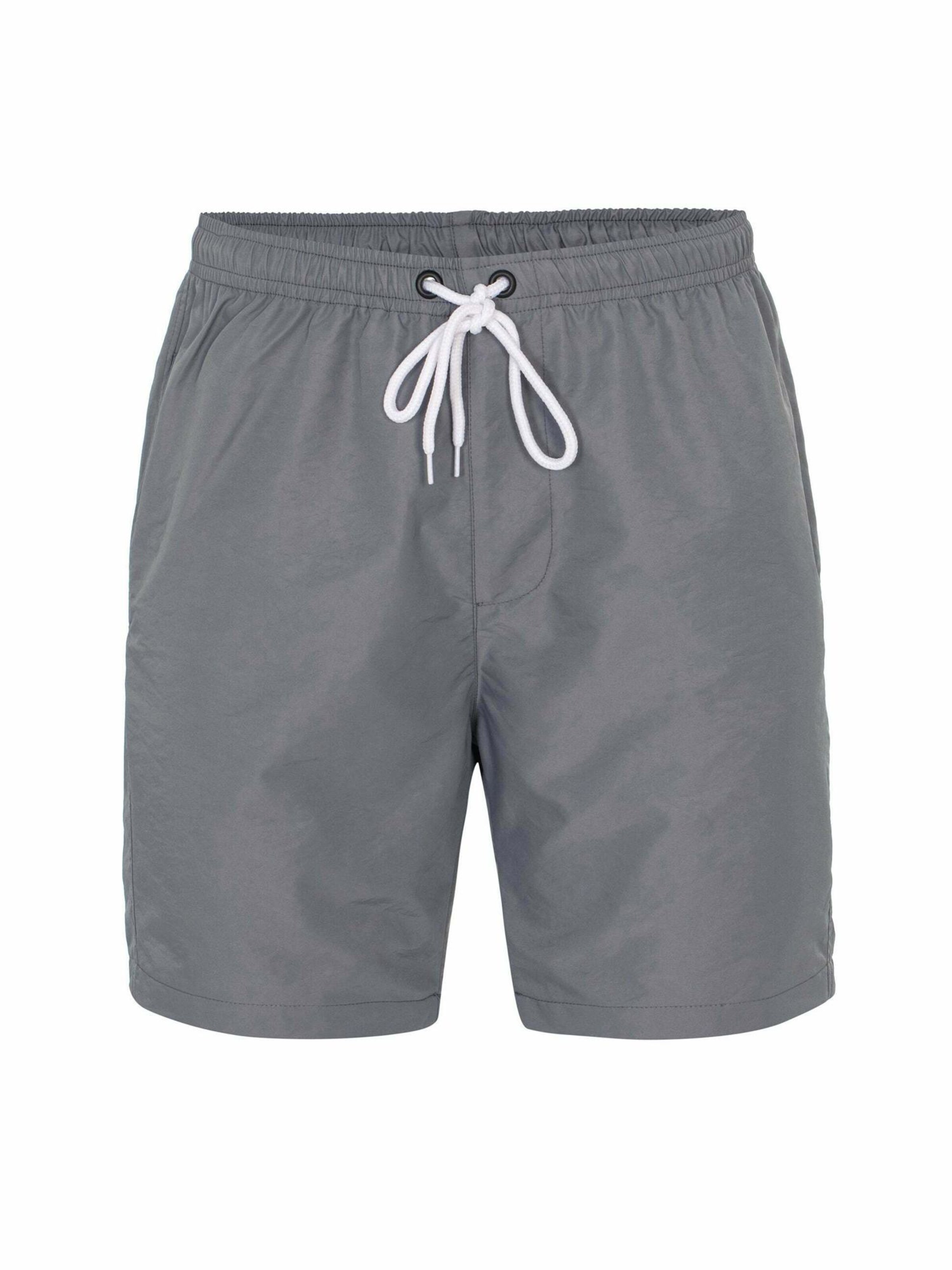 Daniel Hills Ujumispüksid, värv hall: eest vaates