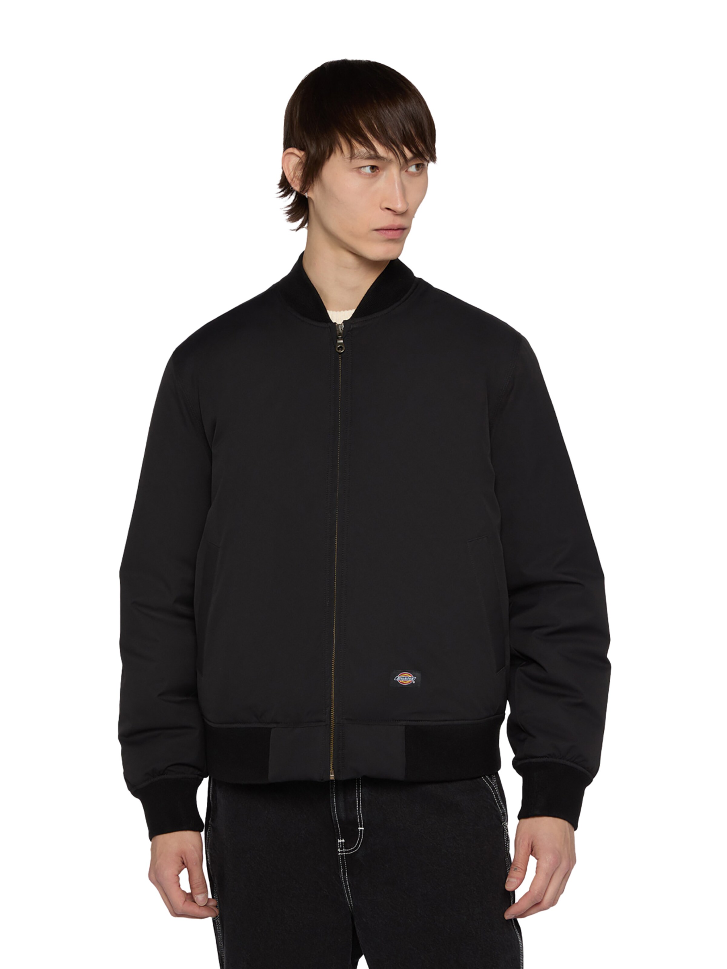 DICKIES Övergångsjacka i svart: framsida