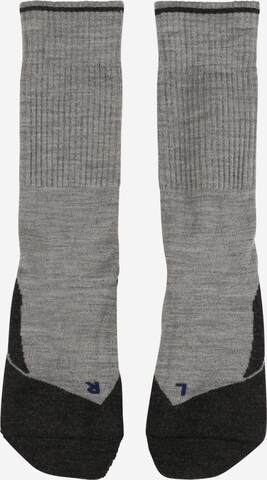 FALKE Sportovní ponožky – šedá