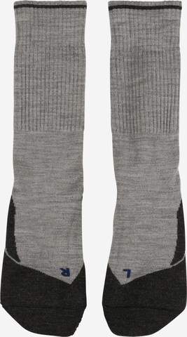 FALKE Athletic Socks in Grey