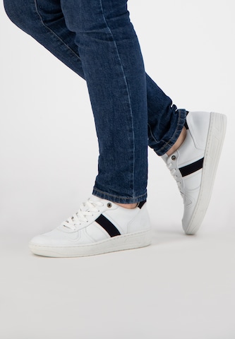 NoGRZ Sneakers 'E.Pearee Vegan' in White: front