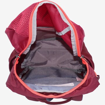 SALEWA Sports Backpack in Pink