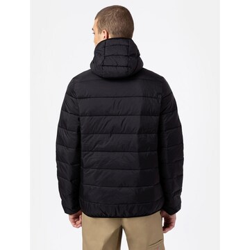 DICKIES Winter jacket 'Waldenburg' in Black