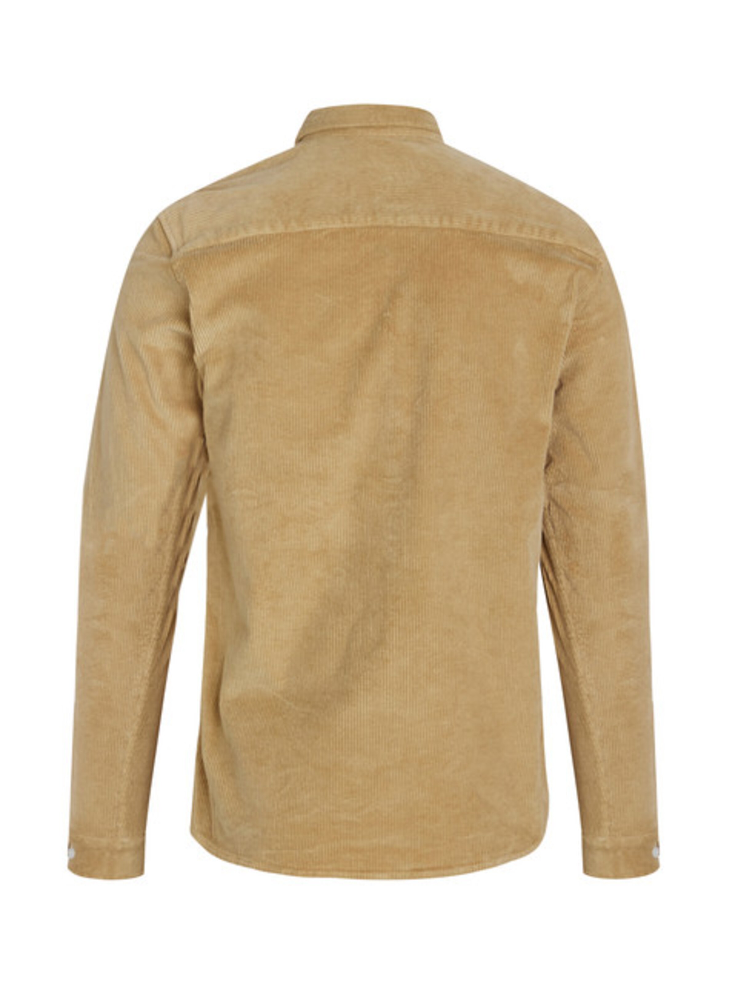 Redefined Rebel Regularny krój Koszula 'Sean' w kolorze beżowy