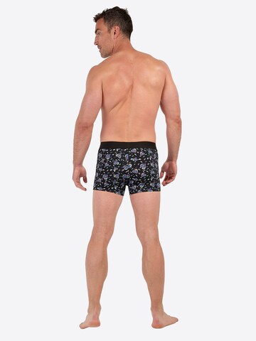 Boxers ' Love Me ' HOM en mélange de couleurs