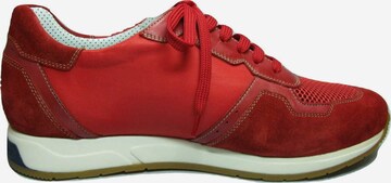 Galizio Torresi Sneakers in Red
