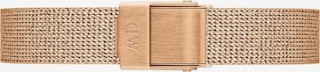 Daniel Wellington Bracelet in Gold: front