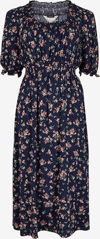 Robe Apricot en bleu : devant