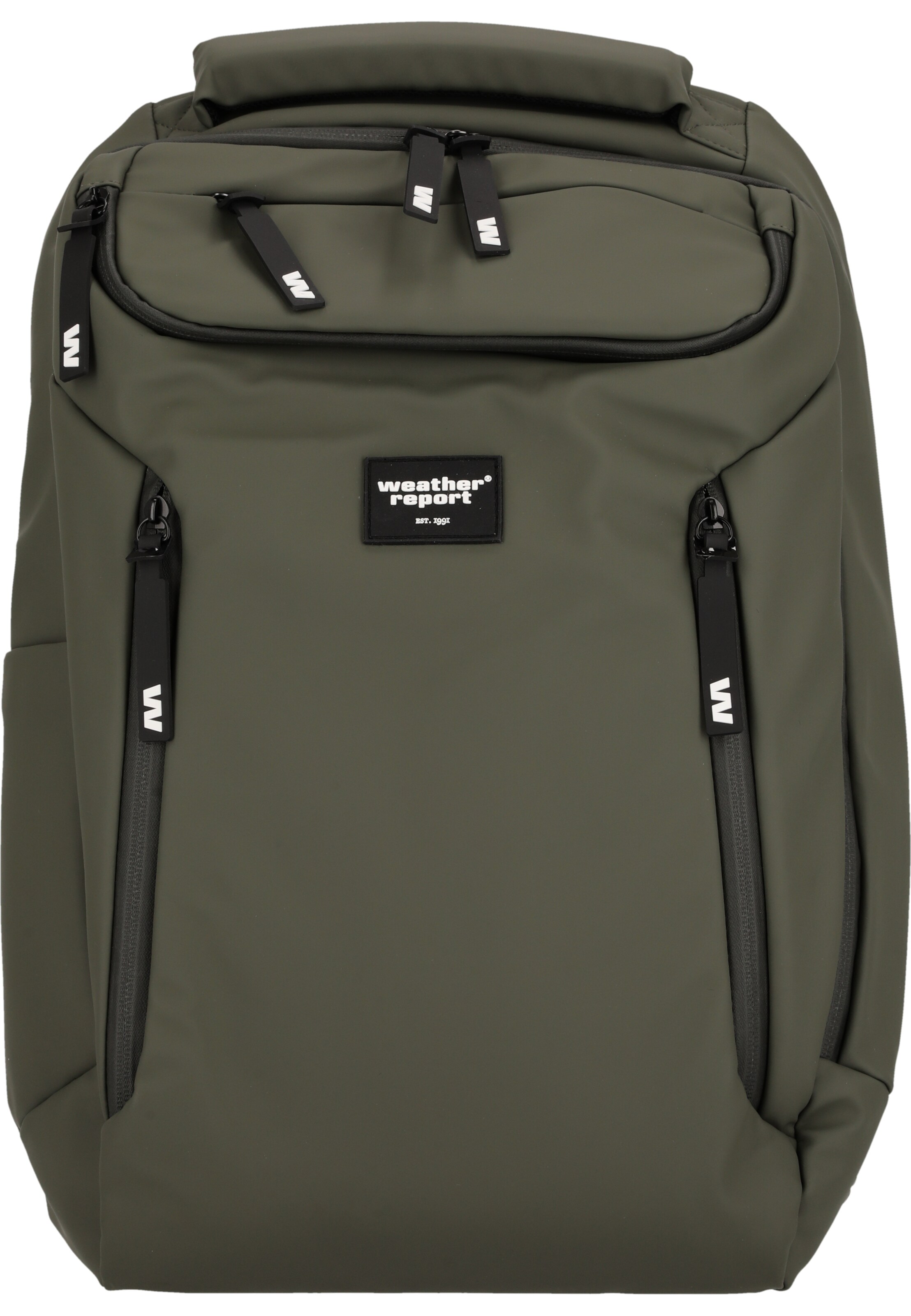 Weather Report Backpack 'Bronze' in Green: front