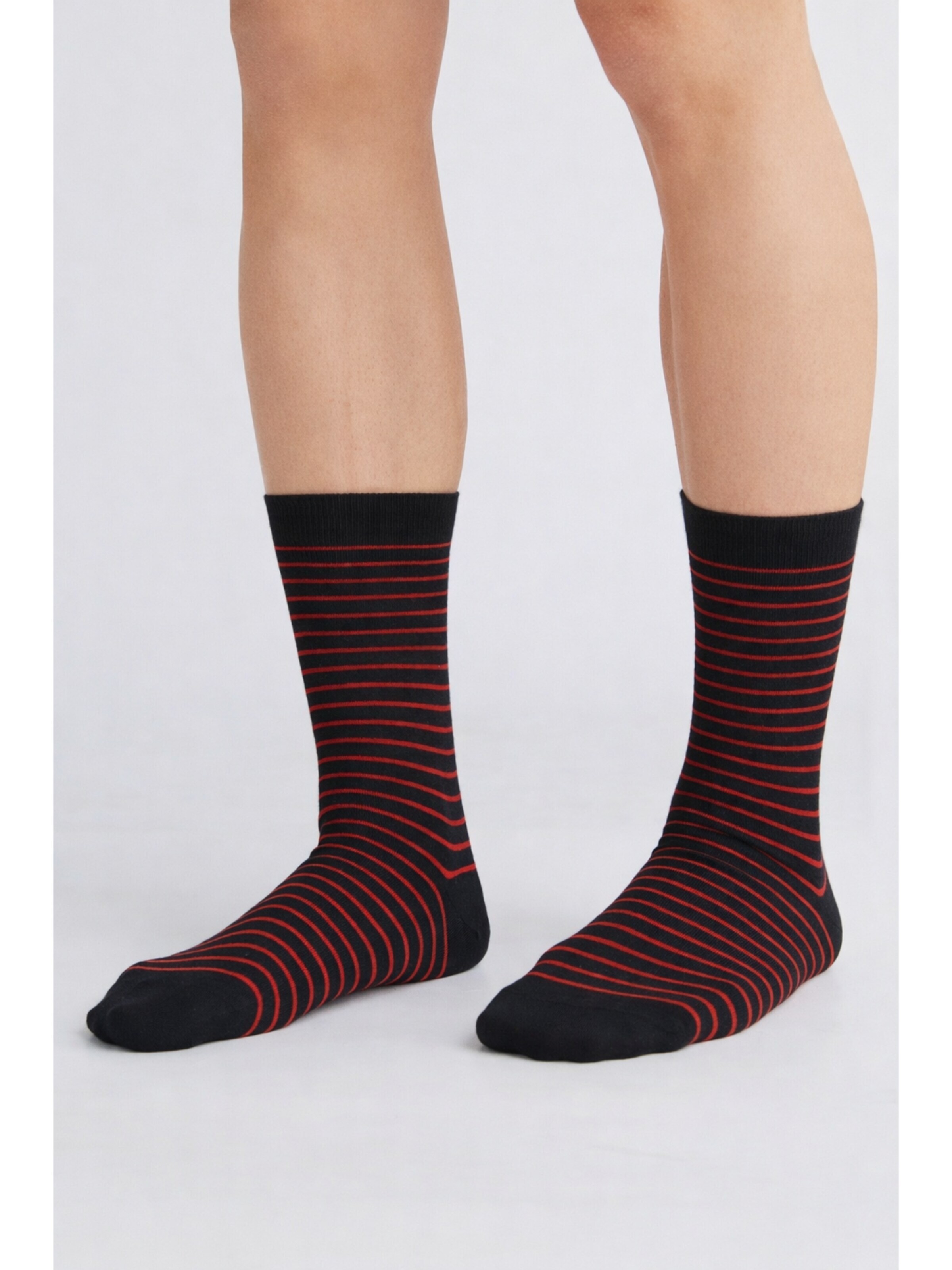 Albero Natur Socks 'Bio-Baumwoll-Socken mit längerem Bündchen - 2er Pack' in Black