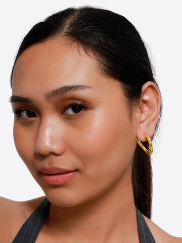 Heideman Oorbellen 'Aelius ' in Goud: voorkant