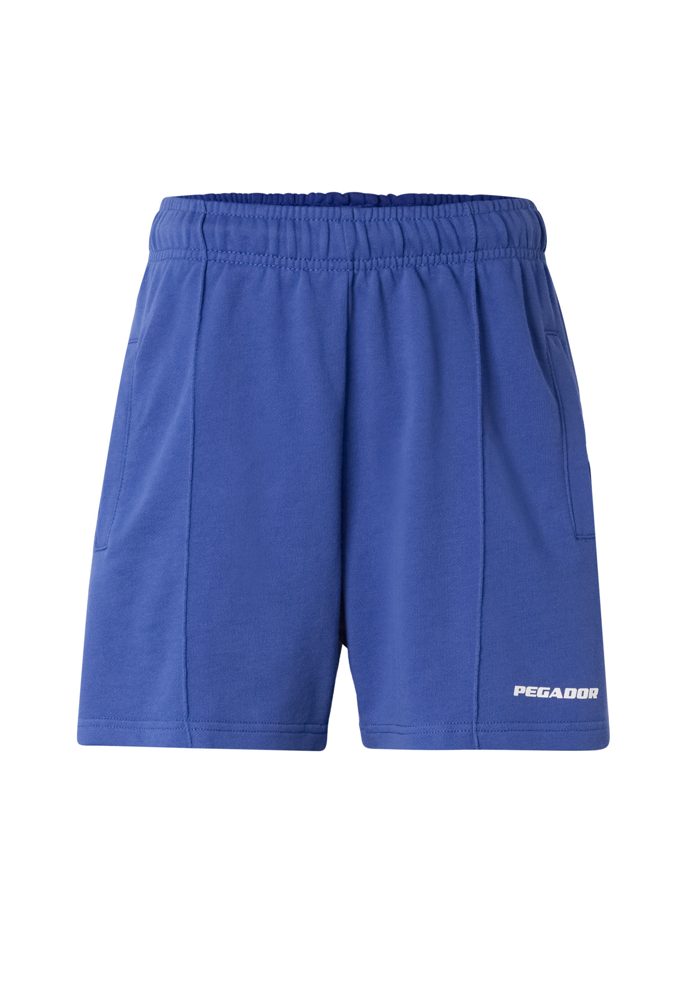 Pegador Shorts in Blau: Vorderseite