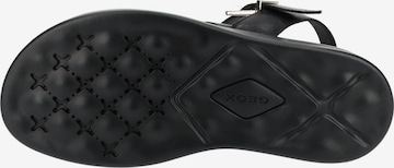 GEOX Sandalen met riem in Zwart