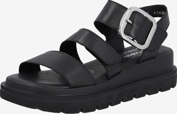 Rieker EVOLUTION Sandals in Black: front