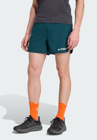 ADIDAS TERREX - regular Pantalón de montaña 'Xperior' en verde: frente