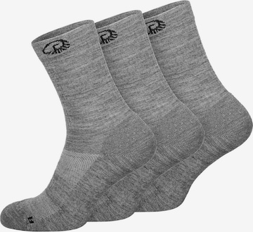 Chaussettes de sport GIESSWEIN en gris : devant