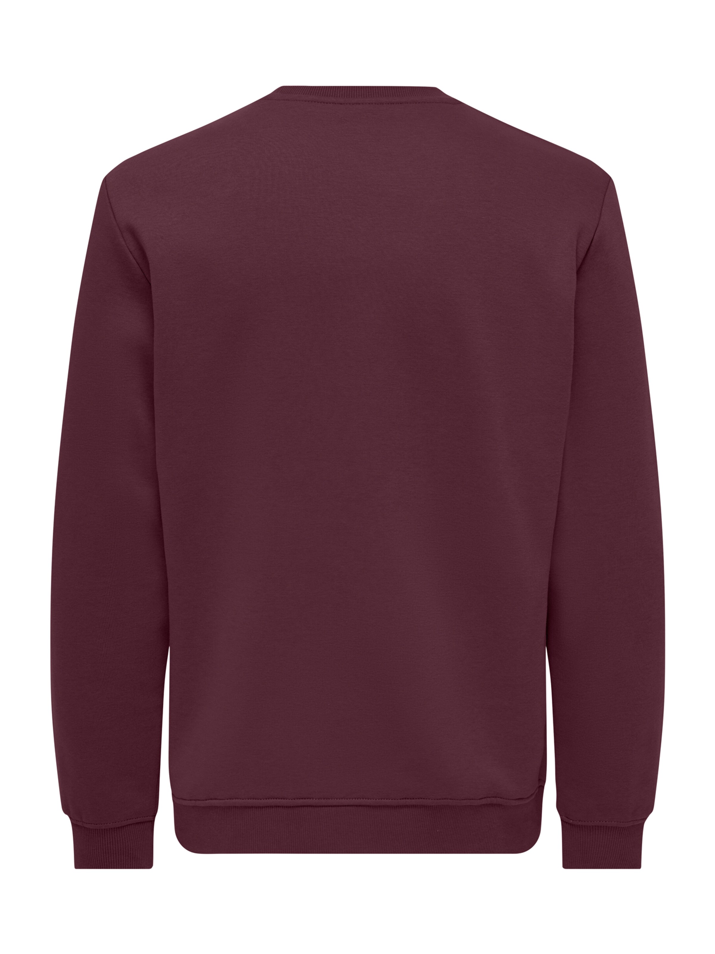 Only & Sons Sweatshirt  'ONSConnor' in Rot