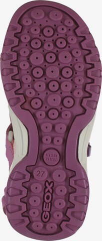 Sandales GEOX en violet