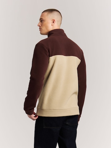 Sweat de sport 'PRTWigland' PROTEST en marron