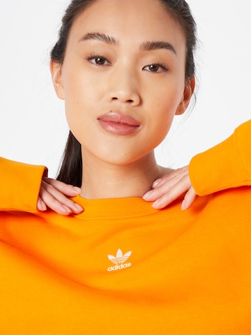 ADIDAS ORIGINALS Sweatshirt 'Adicolor Essentials' in Orange