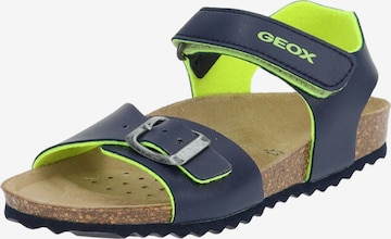 GEOX Open schoenen in Blauw: voorkant