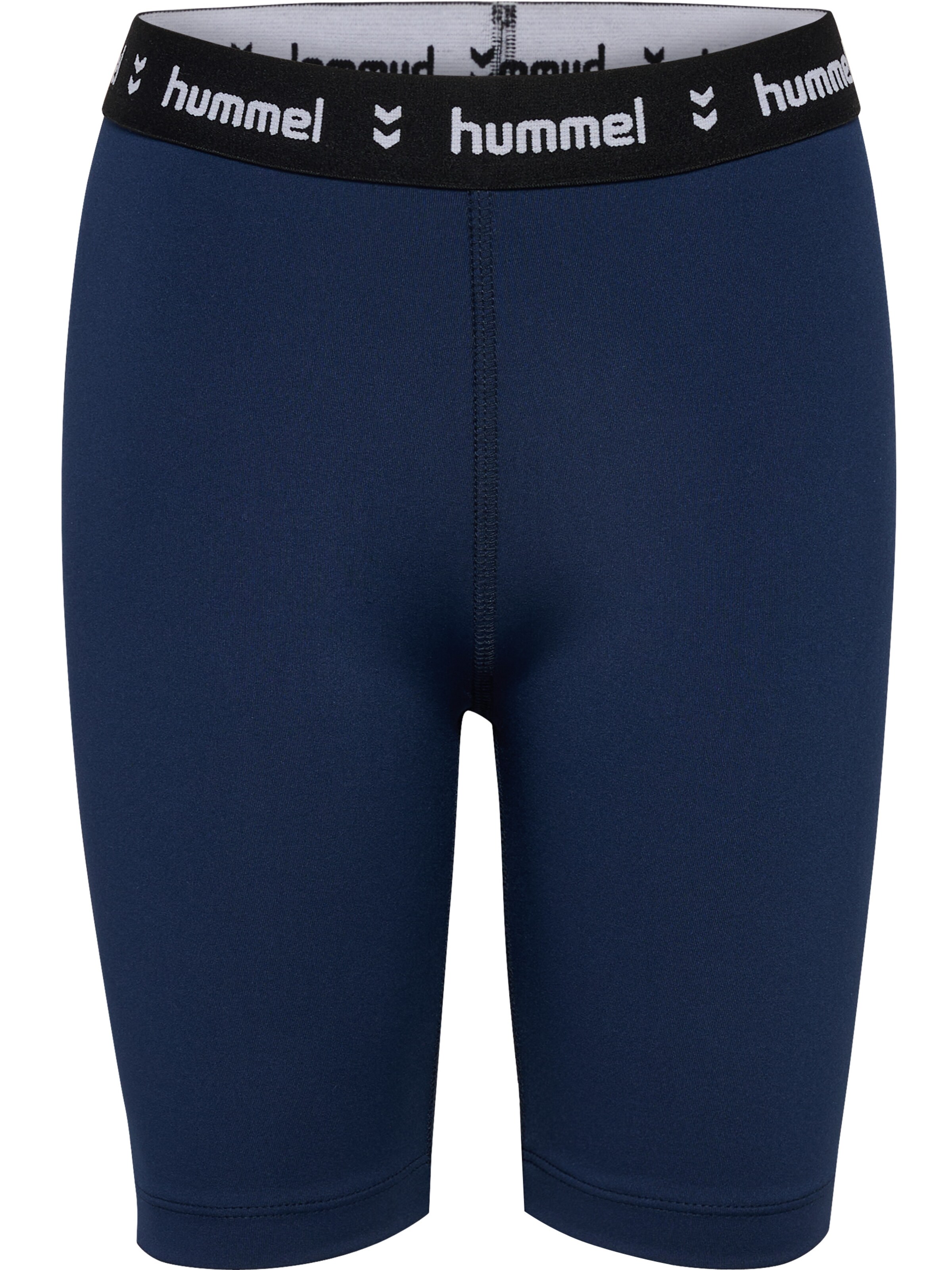 Hummel Sports trousers 'Pulse' in Blue: front
