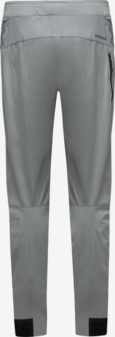 GORE WEAR Regular Workout Pants 'Passion' in Grey