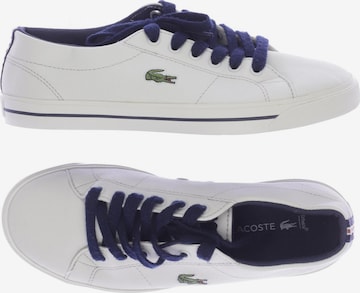 LACOSTE Sneakers & Trainers in 35 in White: front