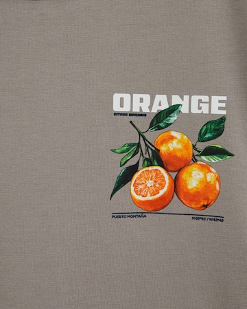 WE Fashion Shirt in Grijs