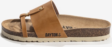 Bayton Plätu 'SISLEY', värv pruun: eest vaates