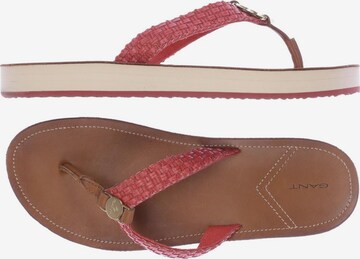 GANT Sandals & High-Heeled Sandals in 40 in Red: front