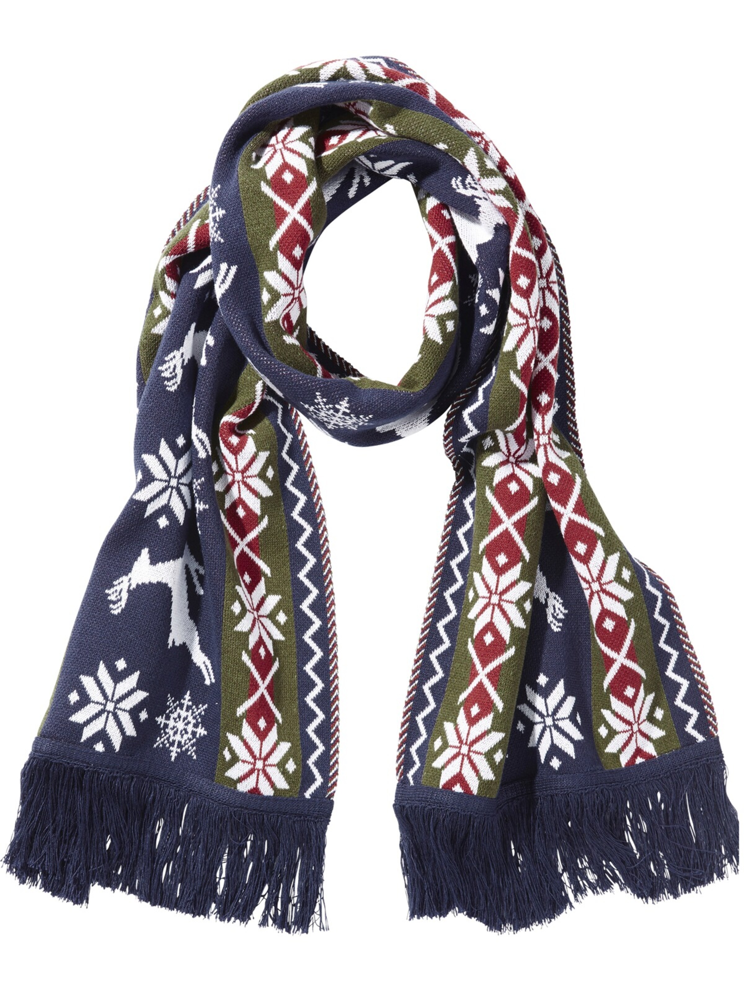 Jan Vanderstorm Schal ' Tilo ' in Blau: Vorderseite